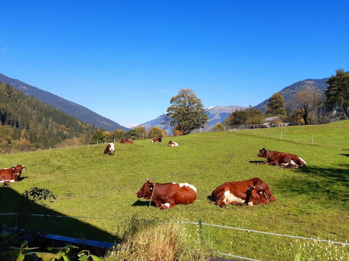Apartament Hoislbauerngut Bad Hofgastein Zewnętrze zdjęcie