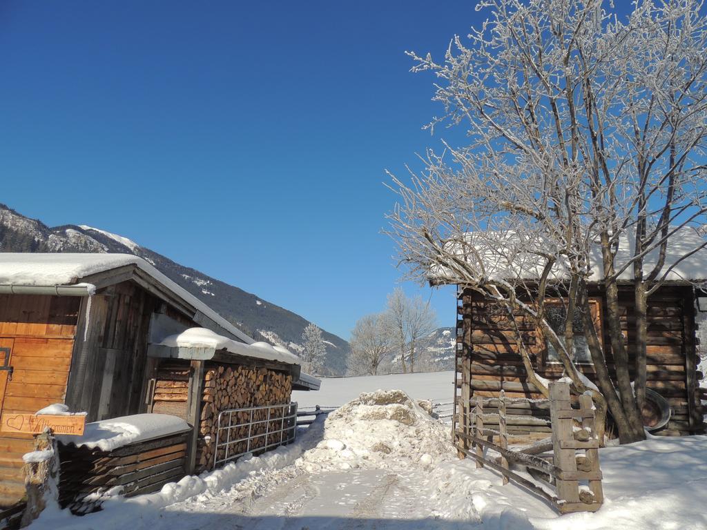 Apartament Hoislbauerngut Bad Hofgastein Zewnętrze zdjęcie